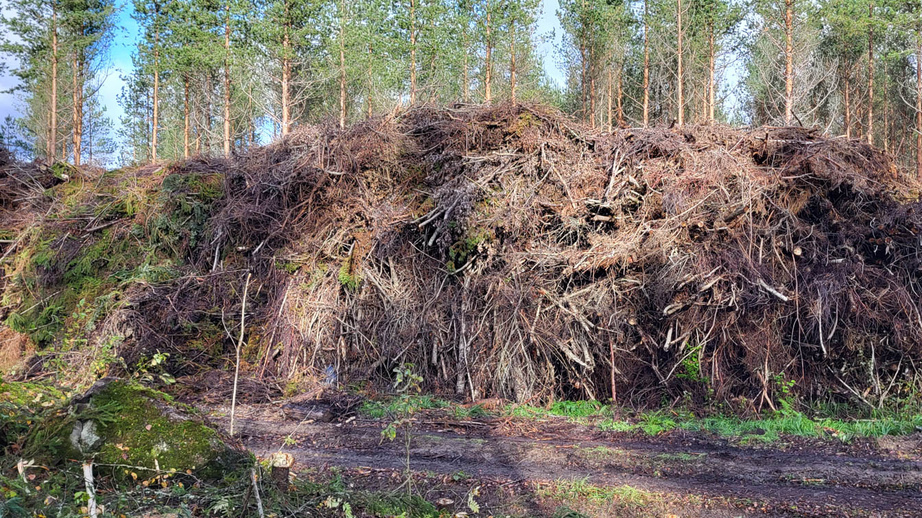hakkuutähde-uutiskirje-1344x756