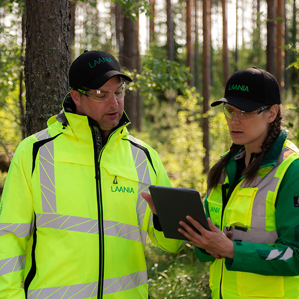 Kaks metsanduseksperti vestlevad omavahel metsas